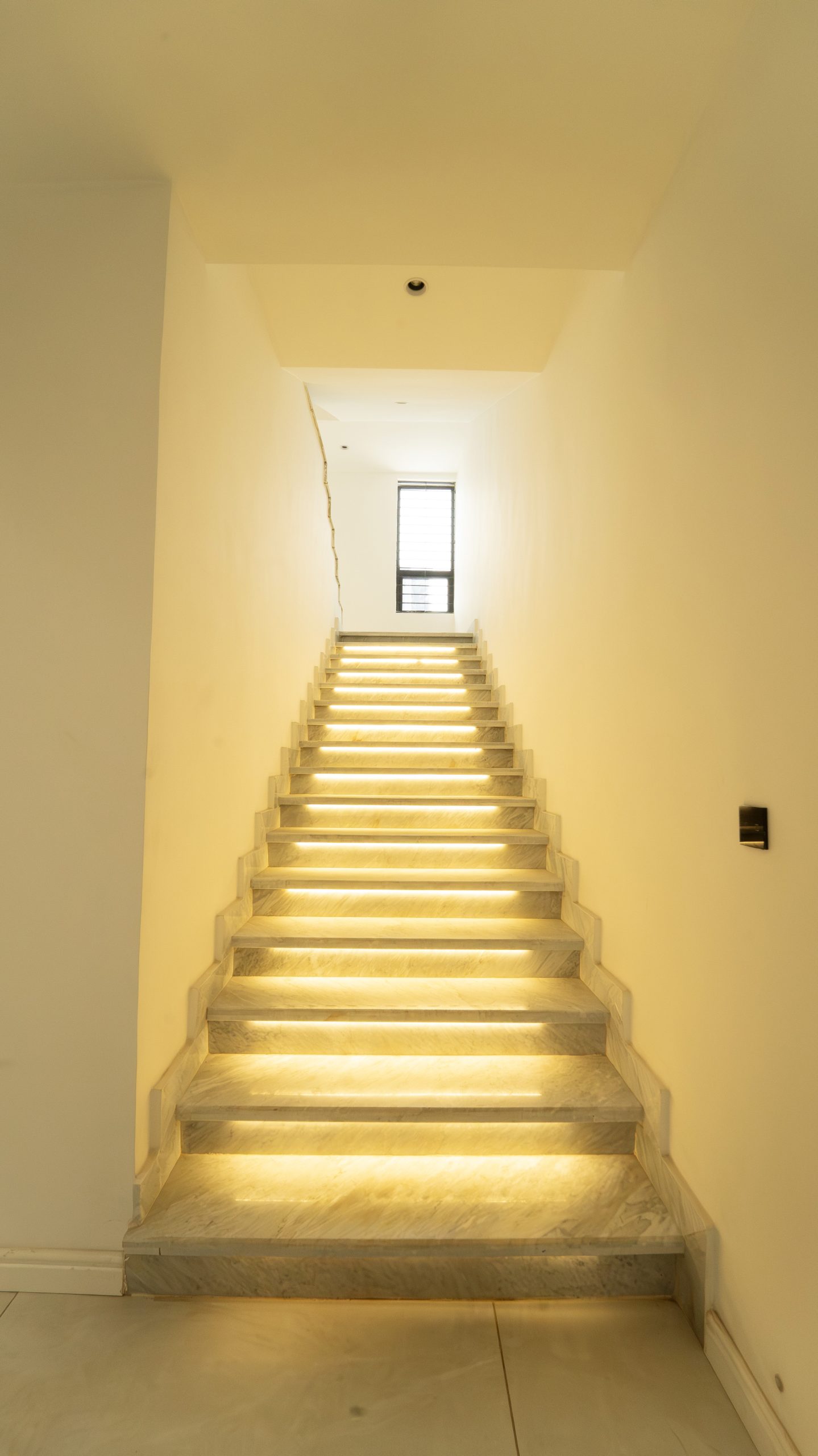 DSC02250-Enhanced-NR copy